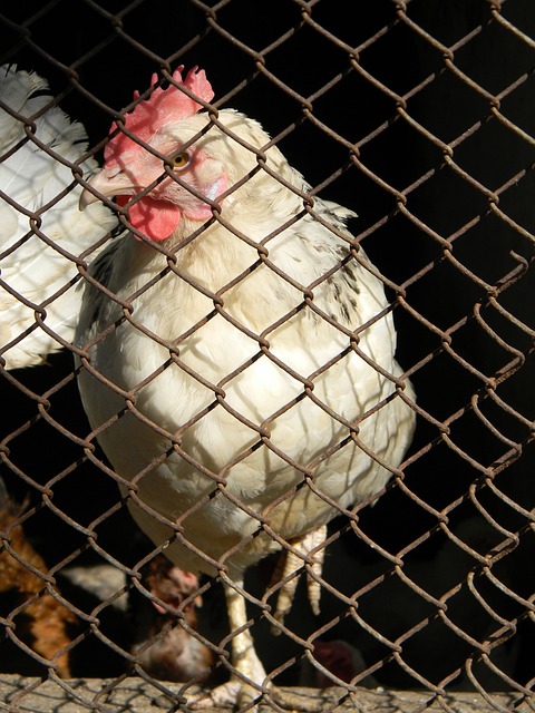 王艺竹目前 王艺竹目前