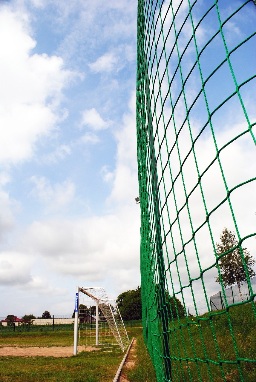 个传统的 个传统的