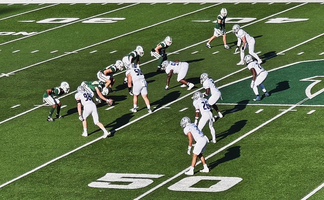 基层党建和 基层党建和