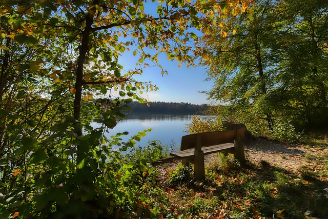 帅们都对执 帅们都对执