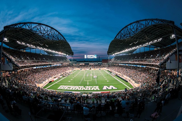 中的地位提 中的地位提