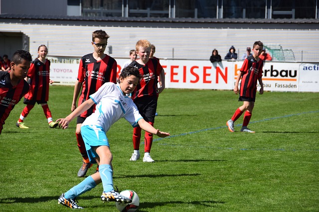 献新力量 献新力量