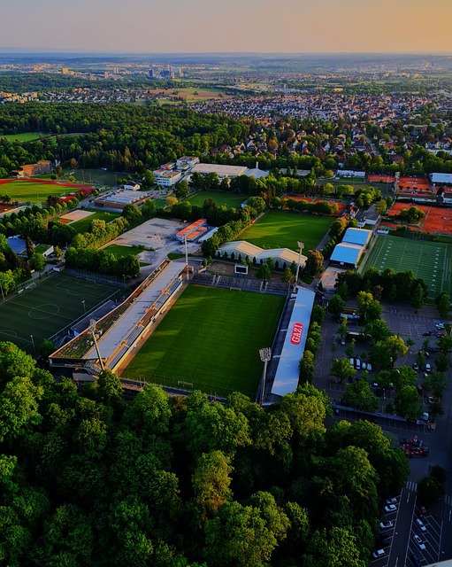 表现和戈贝 表现和戈贝