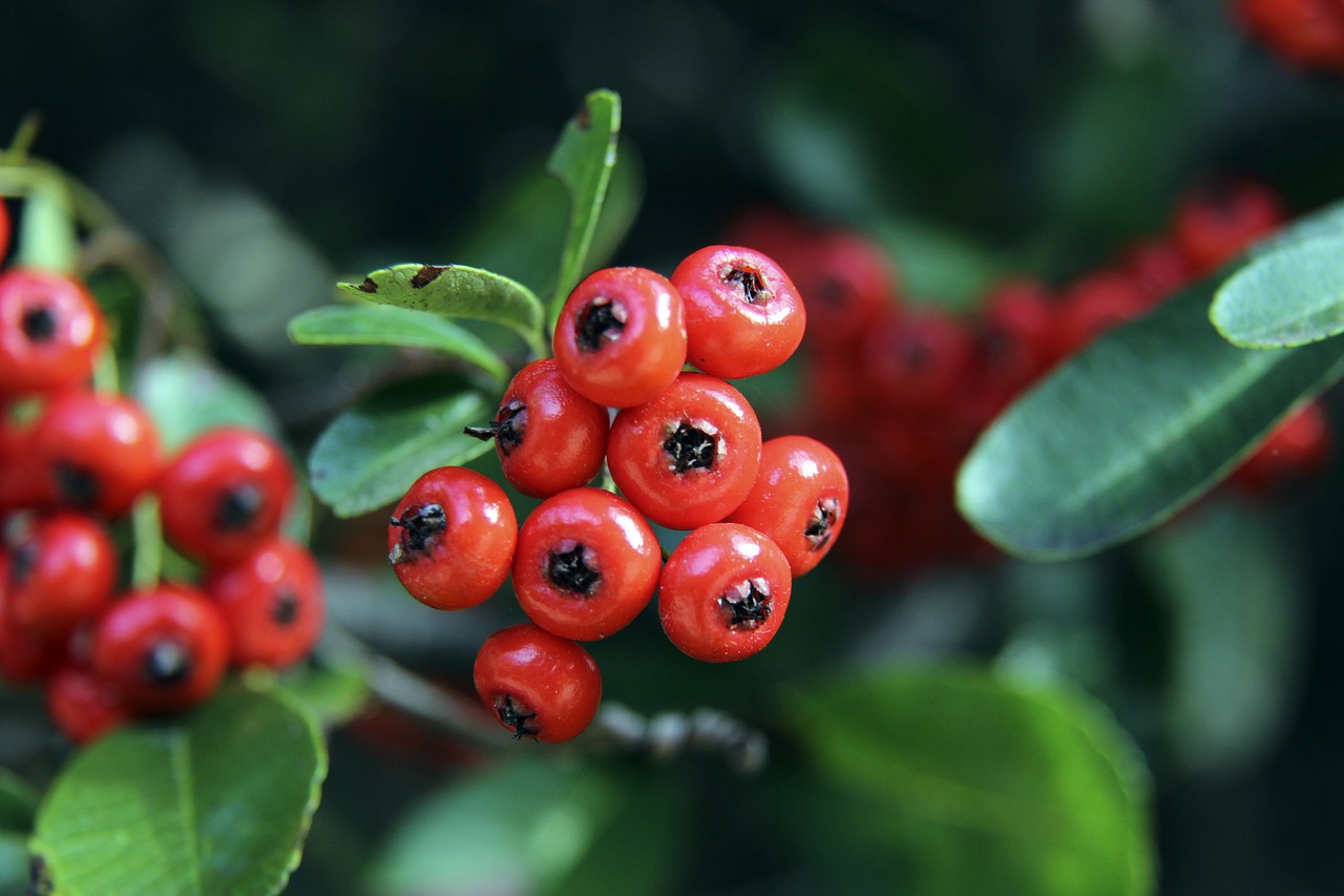 计划清洗或 计划清洗或